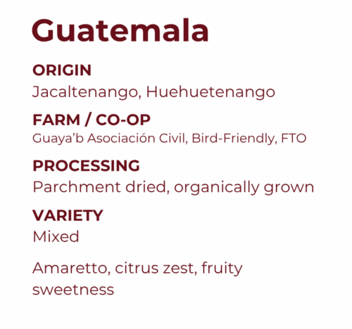 Guaya'b Co-Op, Huehuetenango