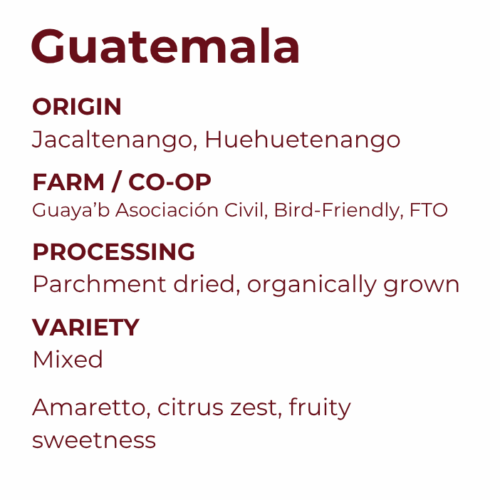 Guaya'b Co-Op, Huehuetenango