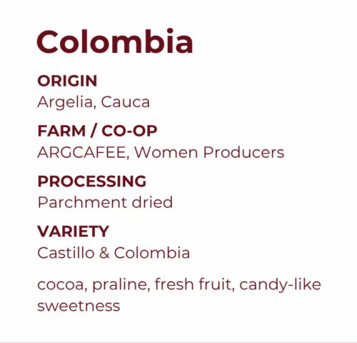 ARGCAFEE Women Producers, Cauca