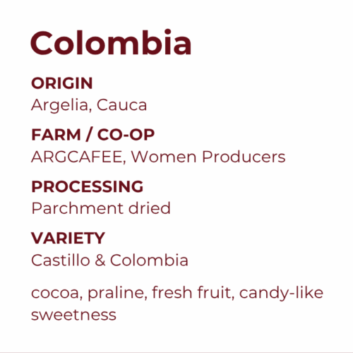ARGCAFEE Women Producers, Cauca