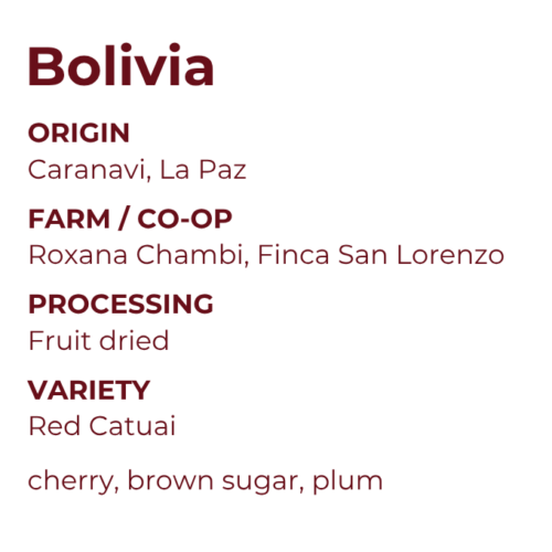 Finca San Lorenzo, Caranavi, Bolivia (women owned microlot)