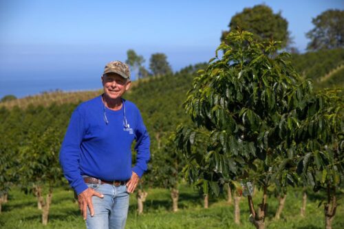 Greenwell Farms, Kona Decaf - Image 4