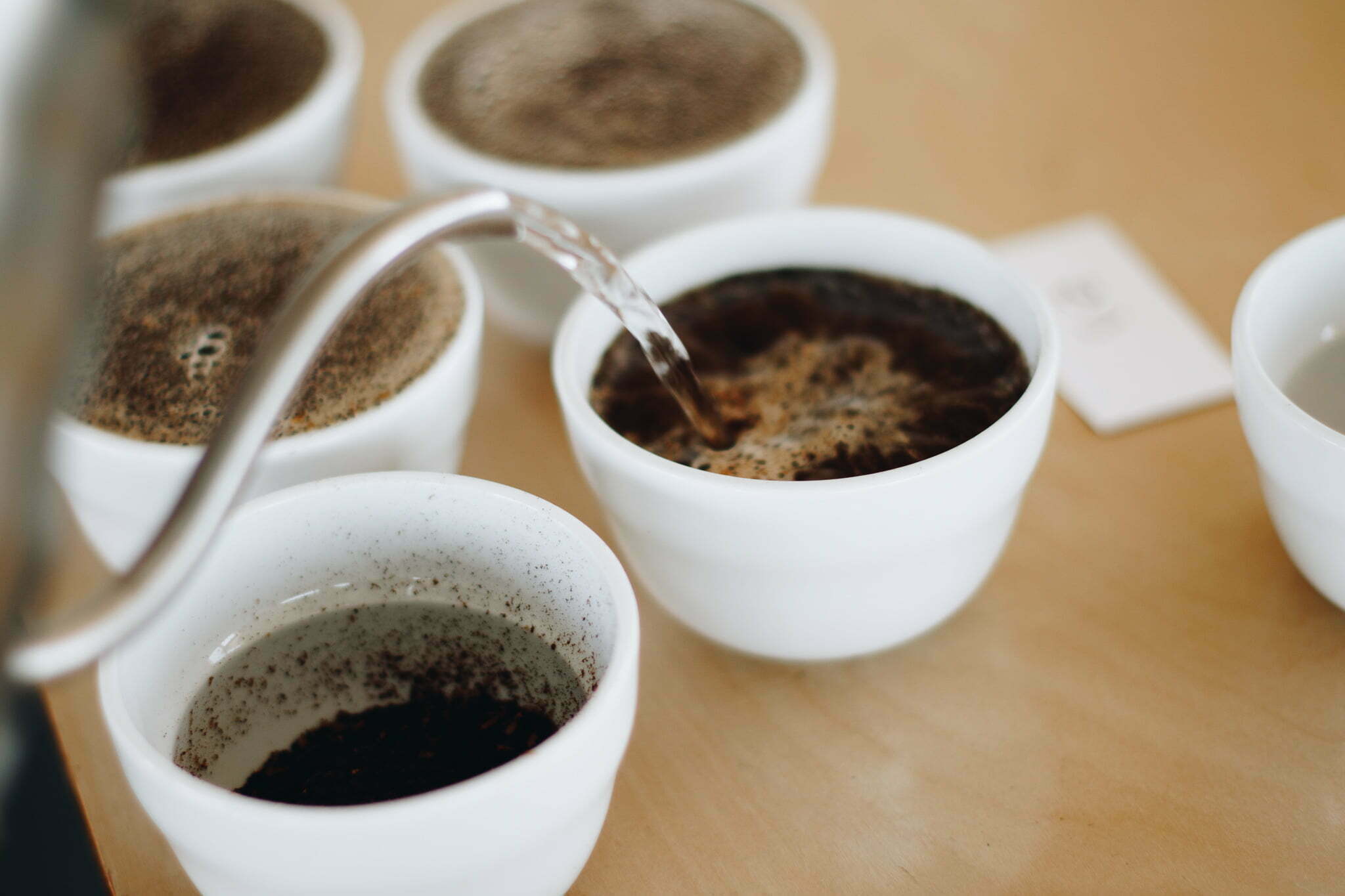 Specialty Coffee Association (SCA) Compliant - Coffee Cupping Spoon