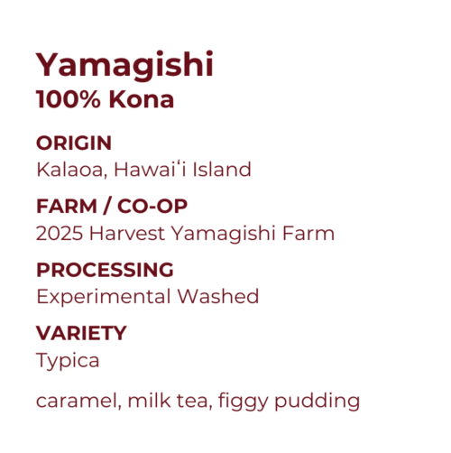 Yamagishi 100% Kona