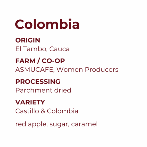 El Tambo, Cauca, Colombia