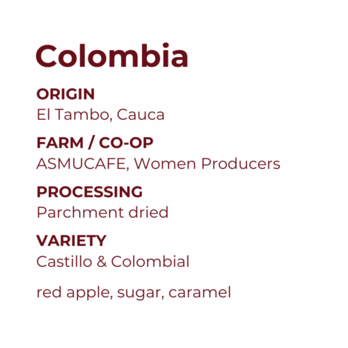 El Tambo, Cauca, Colombia